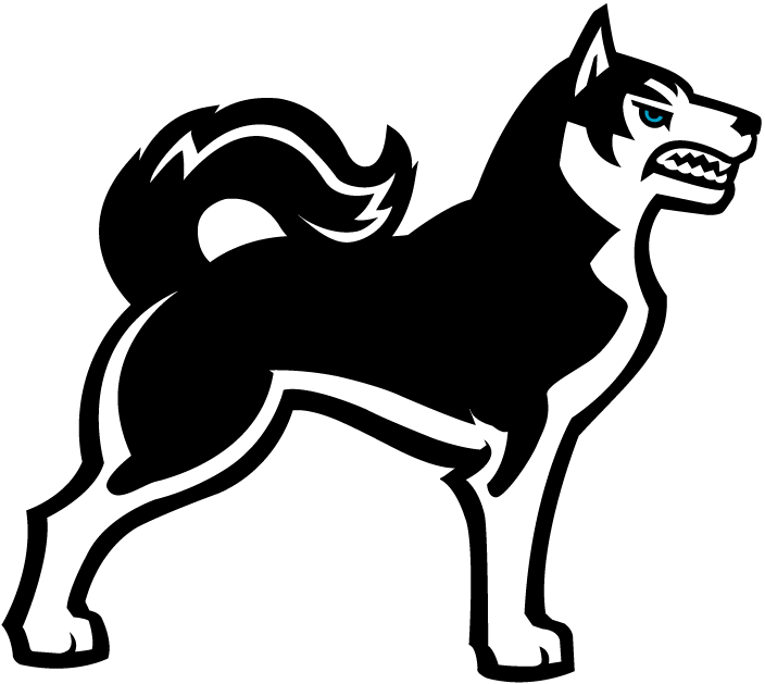 Northeastern Huskies 2001-2006 Alternate Logo 02 iron on paper